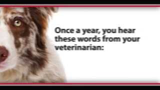 The Test Your Pet Should Take [upl. by Enelyk]