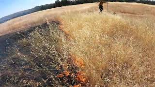 Streaming Live from Bidwell Park Burn [upl. by Anibor]