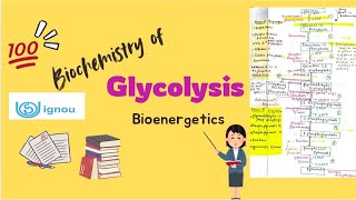 Glycolysis  Biochemistry  BSCG  BCHET  BZYCT  IGNOU ignouexams glycolysis biochemistry bsc [upl. by Gapin]