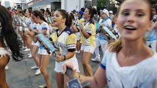 Águia de Ouro 2019  Passeio pela Bateria  TV SASP [upl. by Eurydice]