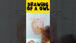 drawing of a owl drawing shorts [upl. by Storer]