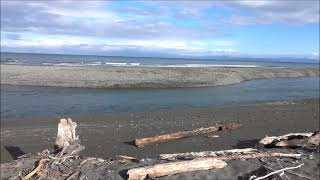 Elwha River mouth 5 6 2024 [upl. by Ahsiet]