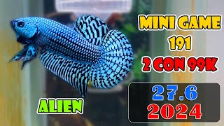 276 MINI GAME 191  60Kcon 2 BETTA 99K  ZL O9433OO365  Đợt Cá NEMO GLX FCCP 41  141 [upl. by Nomzaj]