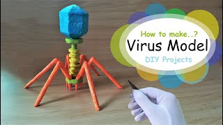 How to make Bacteriophage Virus 3d Model using Thermocol [upl. by Iruy]