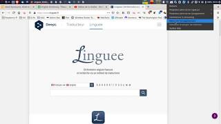 Tutorial How to use Linguee [upl. by Arjan]