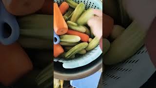 Trosok karot vegetables 🥒🍆🍅🍆 shorts [upl. by Beale]