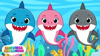 Baby Shark e i suoi amici 🦈 Canzoni Per Bambini [upl. by Yerga]