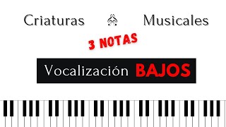 🔴 Vocalización para BAJO de 3 Notas [upl. by Anirret]