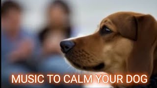 MUSIC TO CALM YOUR DOG [upl. by Caplan]