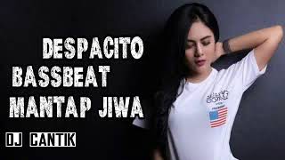 dj despacito Super bass terbaru 2017 [upl. by Geis585]