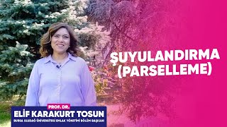 Parselasyon nedir Şuyulandırma Nedir [upl. by Myrtia]