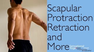 Exercises for Improving Scapular Protraction Retraction and More [upl. by Rivkah]