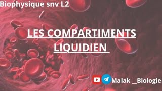 Biophysique L2  Les compartiments liquidiens [upl. by Charmian]