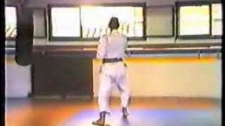 Karate Kata Bassai Salvador Herraiz 1981  wado ryu [upl. by Anauqahc907]