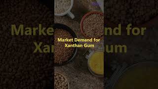 Manufacturing Business of Xanthan Gum PART 1 [upl. by Livia]