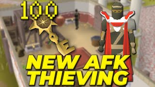 I Opened 100 House Keys For The NEWEST Thieving Method Guide House Keys [upl. by Ennasirk]