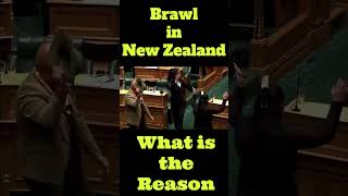 New Zealand Parliament l Māori dance shortsfeed shorts [upl. by Ahusoj999]