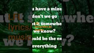 Lily Allen  Somewhere Only We Know Lyric Video [upl. by Hannad]