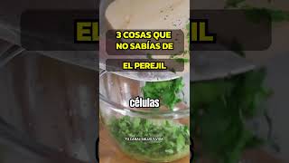 3 RAZONES PARA INCLUIR PEREJIL FRESCO EN TU DIETA alimentossaludables perejil alimentosaludable [upl. by Nidnal]