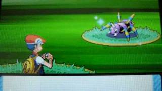 Shiny Ariados 1 of 5 pokeradar chain 40 pokemon diamond [upl. by Nyllewell]