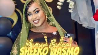 SEEKO WASMOMacaan Badan Raaxo Macaan Live ah toktok somali tiktok gabdhaha ugu shidan wasmo raaxo [upl. by Dimitry]