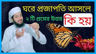 ঘরে প্রজাপতি আসলে কি হয় ইসলাম কি বলে  ঘরে প্রজাপতি ঢুকলে কি হয় projapoti  Study tips [upl. by Brechtel740]