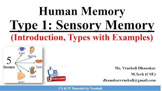 HCI 23 Type 1 Sensory Memory Iconic Echoic and Haptic Memory with Examples [upl. by Notlok]