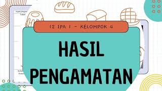 Bioteknologi Konvensional Berbasis Makanan Fermentasi Roti Kukus [upl. by Kirch]