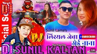 Lisyal jeba Dj Remix tamang remix song dj sunil kaltan [upl. by Bettye894]