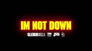 Sleigh Bells  Im Not Down Official Audio [upl. by Hnahym915]