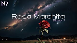 Niconce 7  Rosa Marchita Lyric Video [upl. by Rankin]