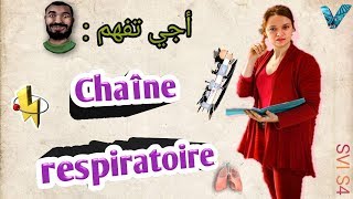 Biochimie métabolique en arabe partie des glucides Chaine respiratoire SVI S4 [upl. by Aicilyhp]