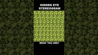 Eye exercise 19 hiddeneye stereogram magiceye eyestrain stereoscopic illusion magiceye [upl. by Bocaj]