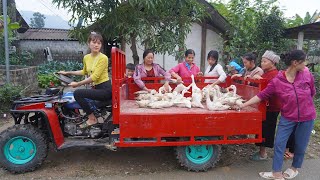 Use highpowered 4wheel offroad vehicles harvesting ducks to lay eggs for sale in the village [upl. by Vlad]