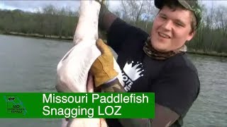 Missouri Paddlefish Snagging  Lake of the Ozarks  spoonbill snagging [upl. by Abramson]