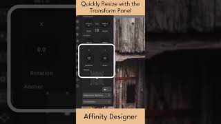 Affinity Designer Quick Tip  Quickly Size Down with the Transform Panel  Shorts  Graphic Design [upl. by Narmis]