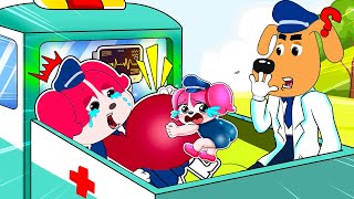 Papillon come on  Papillon is about to give birth in the car  Sheriff Labrador Animation [upl. by Kowtko]