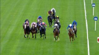 Leopardstown highlights 29th October 2016 [upl. by Grier511]