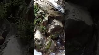 Ravan dhara water fall reels rabandharawaterfall water trending viral shortvideo shots [upl. by Fugazy]