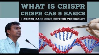 CRISPR CAS 9 basics  CRISPR CAS9 gene editing technolgy [upl. by Adriell323]