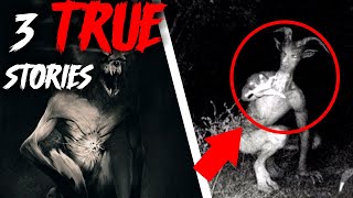 The Dog SPOKE To Us Then Walked Off3 True Skin Walker Stories [upl. by Darin]