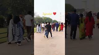 tajmahal viralvideo shortvideo love song tajmahal shortvideo viralvideo tajmahal [upl. by Daren]