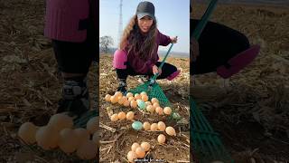 What are These Eggs 🥚🥚 in The Crop Field  Useful Tool for Rural Farmer shorts youtubeshorts [upl. by Kazimir]