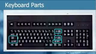 Learn THE KEYBOARD Techniques  Basic Personal Computer Tutorials How to [upl. by Alilak]