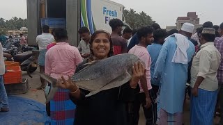 Nanga Meen Vanga Pona Kadhai  Fish Buying Story  Tamil fishing fish [upl. by Kcirdes]