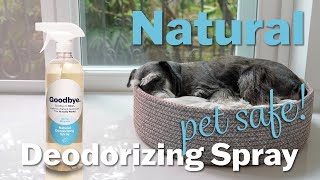 Deodorizer Spray thats 100 Natural Pet Friendly Solution shorts [upl. by Ebsen]