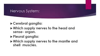 PHYLUM Mollusca Nervous System Reproduction Fertilization in Molluscan First Year Biology [upl. by Glynias]