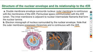 Histology lecture 1 chapter 3 [upl. by Weihs]