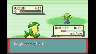 POKEMON EMERALD  BAYLEEF  AZOTE  FLAIL [upl. by Livingston]