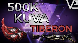 Warframe  100 Rerolls 500K Kuva Tiberon Riven [upl. by Dreddy]